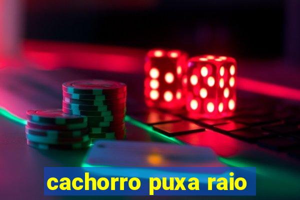 cachorro puxa raio