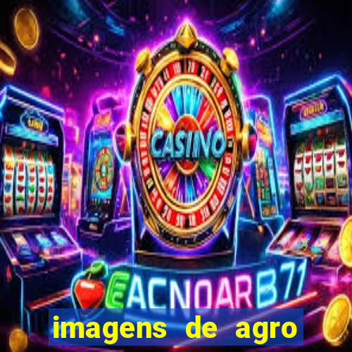 imagens de agro racoes guarani