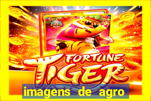 imagens de agro racoes guarani