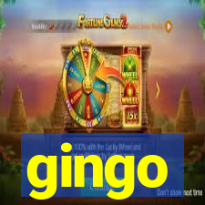 gingo