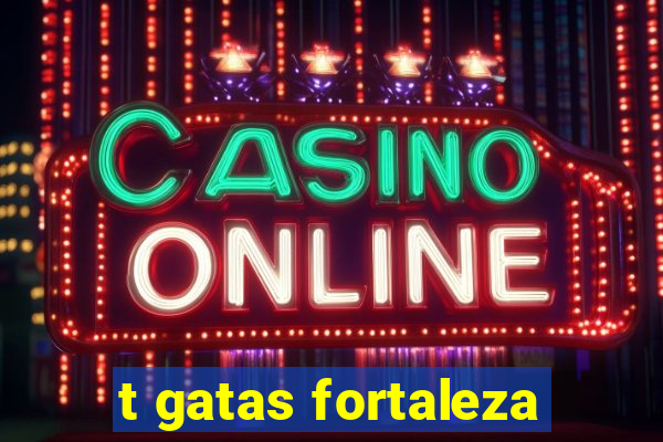 t gatas fortaleza