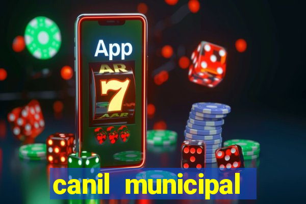 canil municipal porto alegre