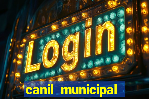 canil municipal porto alegre