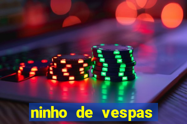 ninho de vespas significado espiritual