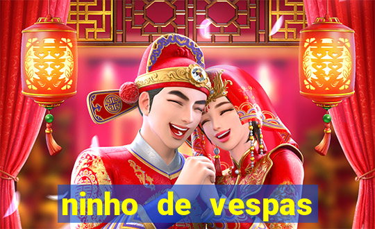 ninho de vespas significado espiritual
