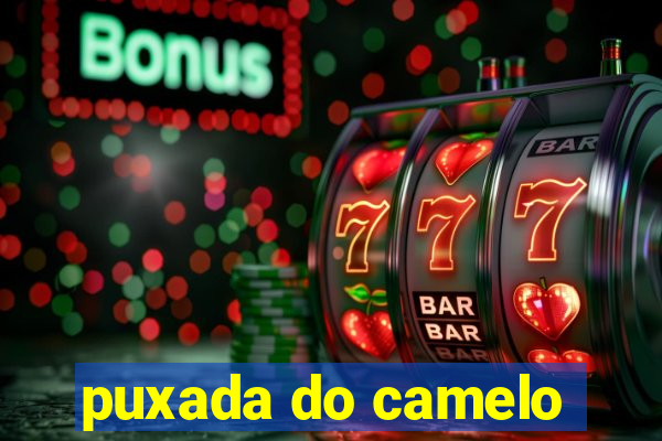 puxada do camelo