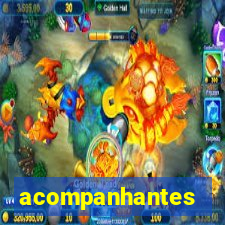 acompanhantes baixada fluminense