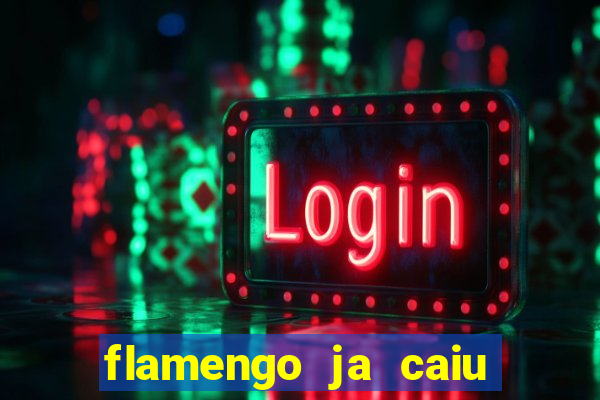 flamengo ja caiu para serie b