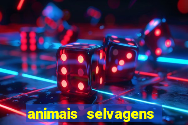 animais selvagens fotos e nomes