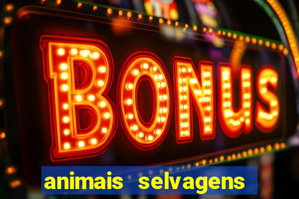 animais selvagens fotos e nomes