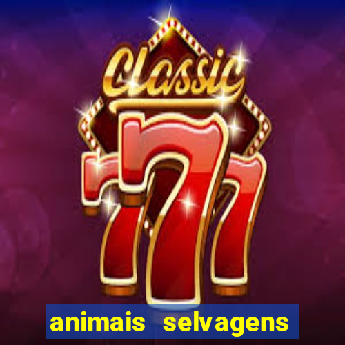 animais selvagens fotos e nomes