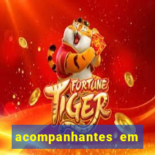 acompanhantes em porto belo