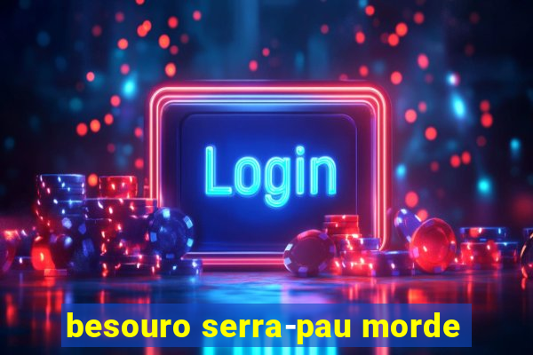 besouro serra-pau morde