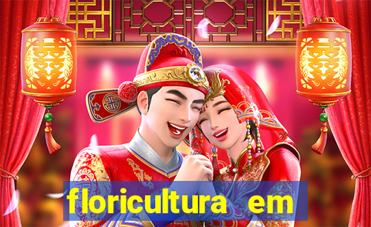floricultura em franca sp