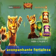 aconpanhante fortaleza