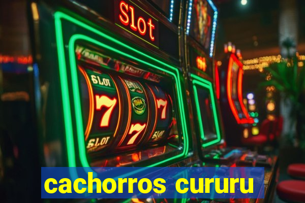 cachorros cururu