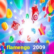 flamengo 2009 campeonato brasileiro