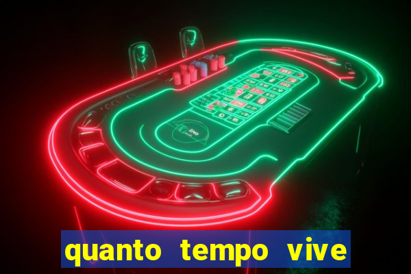 quanto tempo vive um passarinho bem-te-vi