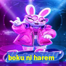 boku ni harem