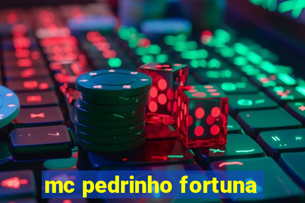 mc pedrinho fortuna