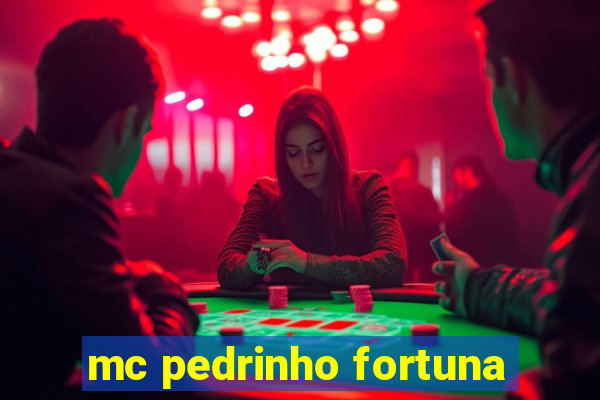 mc pedrinho fortuna