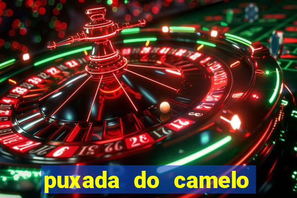 puxada do camelo jogo do bicho