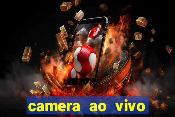 camera ao vivo porto rico