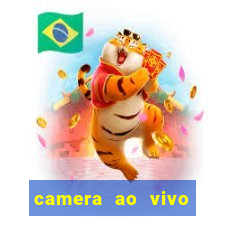 camera ao vivo porto rico