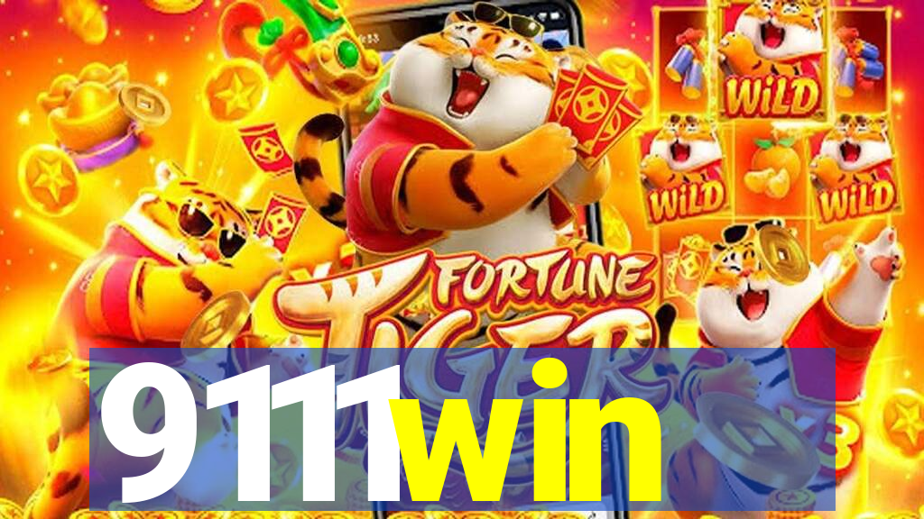 9111win