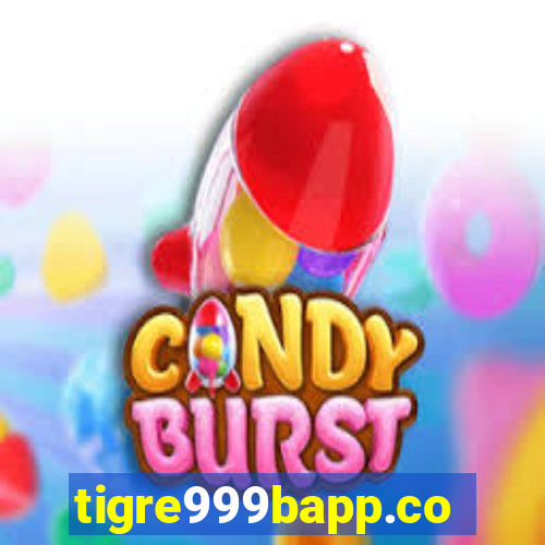 tigre999bapp.com
