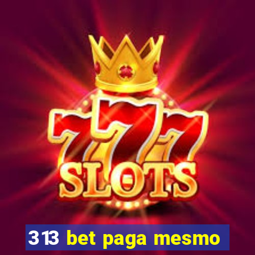 313 bet paga mesmo