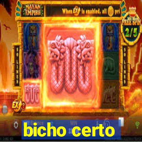 bicho certo