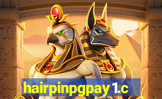 hairpinpgpay1.com