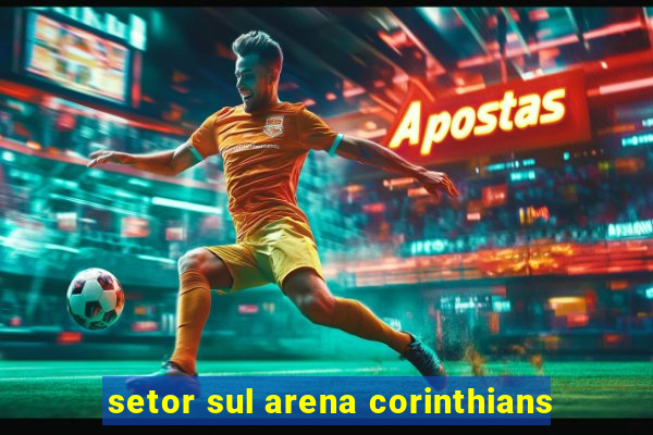 setor sul arena corinthians