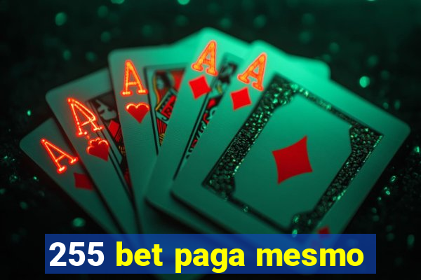 255 bet paga mesmo
