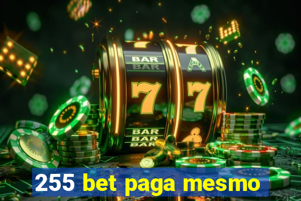 255 bet paga mesmo