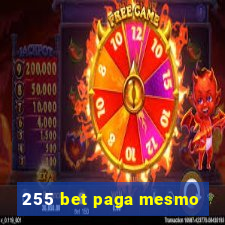 255 bet paga mesmo