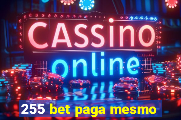 255 bet paga mesmo