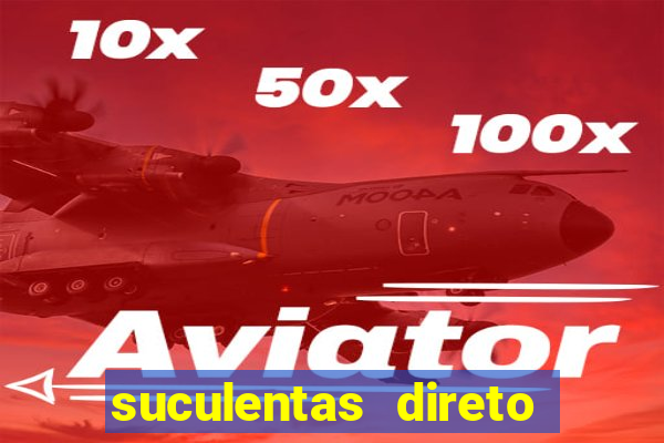 suculentas direto do produtor rs