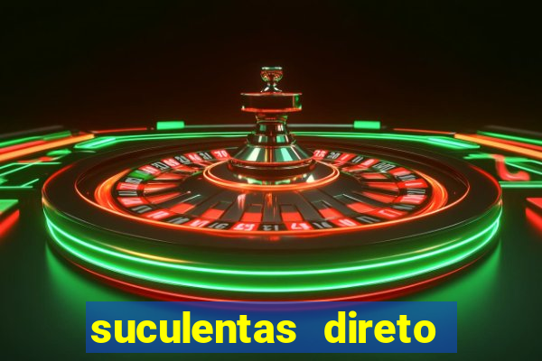 suculentas direto do produtor rs