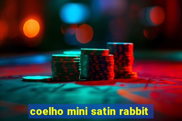 coelho mini satin rabbit