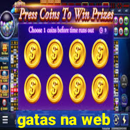 gatas na web