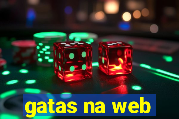 gatas na web