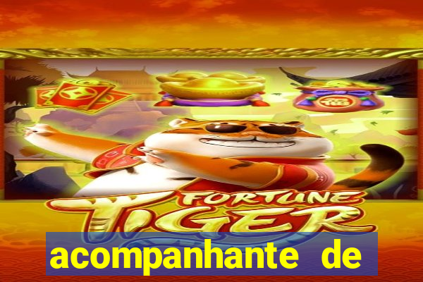 acompanhante de porto ferreira