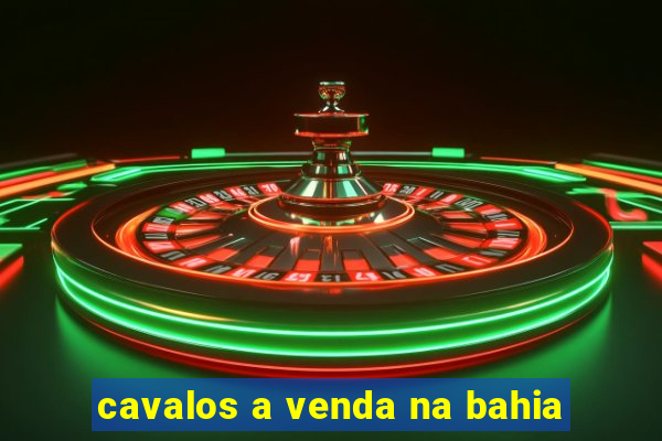 cavalos a venda na bahia