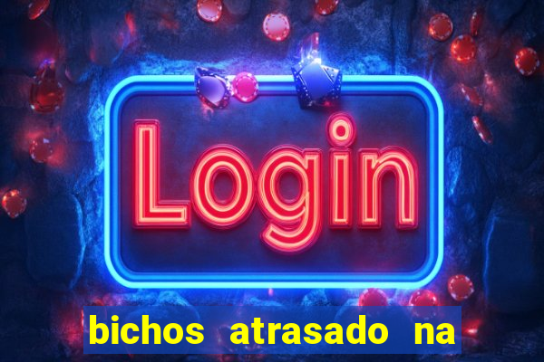 bichos atrasado na loteria dos sonhos