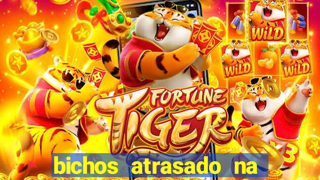 bichos atrasado na loteria dos sonhos
