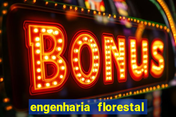 engenharia florestal ead cruzeiro do sul