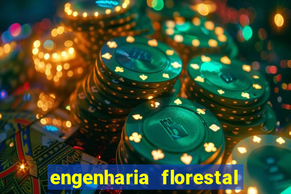 engenharia florestal ead cruzeiro do sul