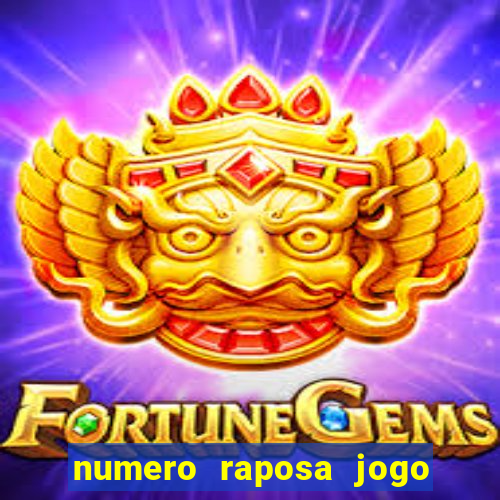 numero raposa jogo do bicho